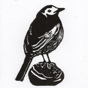 Pied Wagtail Lino Print Cressida Lowery