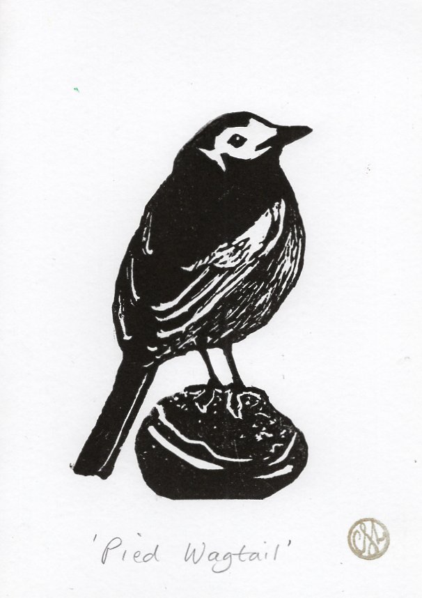 Pied Wagtail Lino Print Cressida Lowery