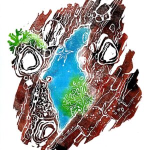 Rock Pool
