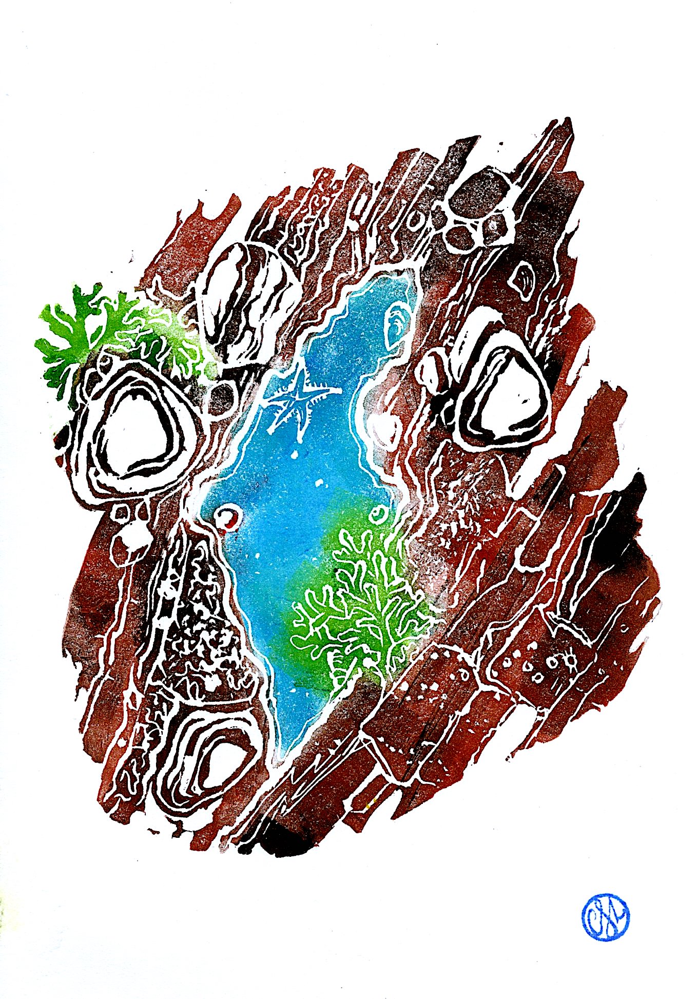Rock Pool